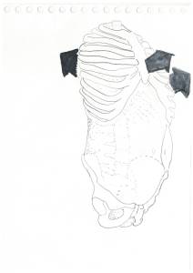 Variations à partir des dessins anatomiques de Blandine Calais Germain