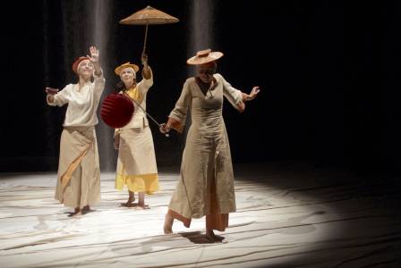 Stellæcho, Mino-Mushi, photographie : © Marie Augustin
