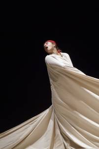 Stellæcho, Mino-Mushi, photographie : © Marie Augustin