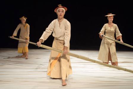 Stellæcho, Mino-Mushi, photographie : © Marie Augustin