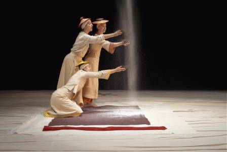Stellæcho, Mino-Mushi, photographie : © Marie Augustin